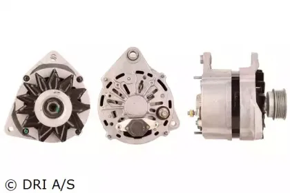 dri-218187902