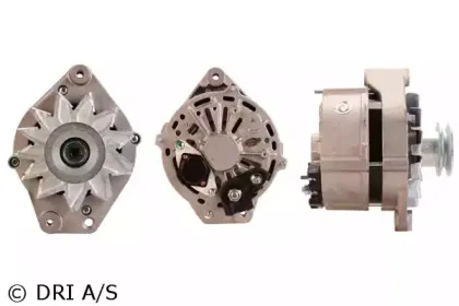 dri-211146902