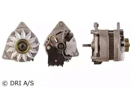 dri-219116702