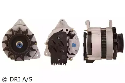 dri-219112702