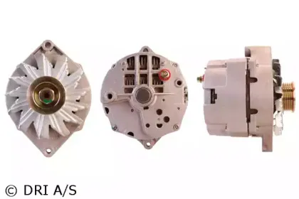dri-5281531202