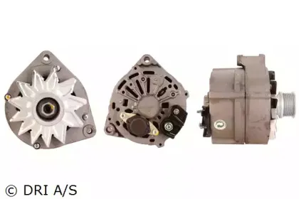 dri-2251061002