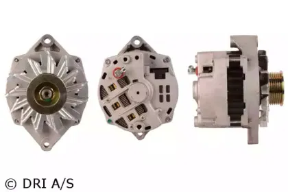 dri-5281571242