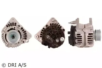 dri-211308902
