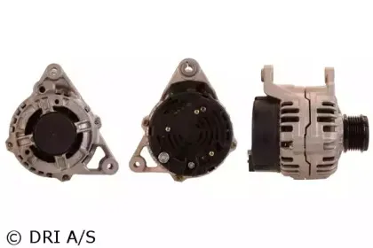 dri-211311902