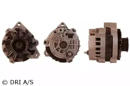 dri-528159852