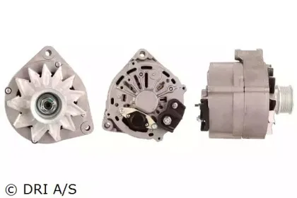 dri-2251161002