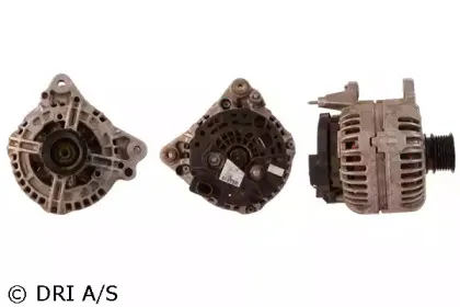 dri-2113021202