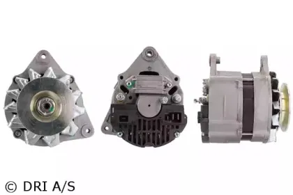 dri-538113652