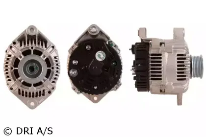 dri-230160802