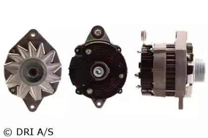 dri-230190702