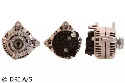 dri-2113281502