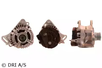 dri-2113091102