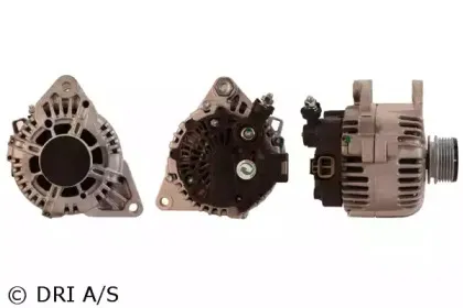 dri-2241941202
