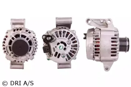 dri-219307752