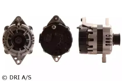 dri-547115852