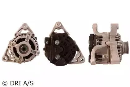 dri-228181702