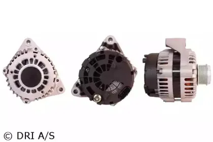 dri-225175902