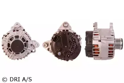 dri-2113841402