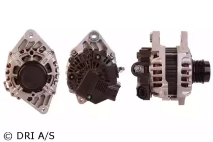 dri-224309902