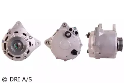 dri-2113951902