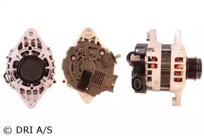 dri-224311702