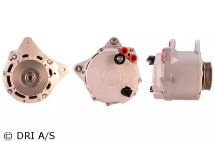 dri-2115111902