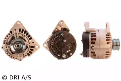 dri-500194952