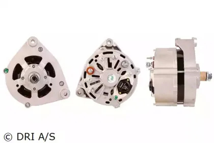 dri-500107554
