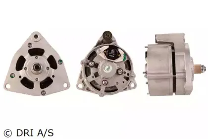 dri-500103274