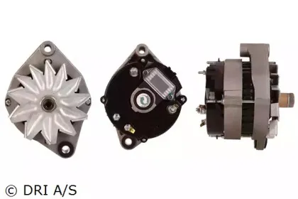 dri-500109404