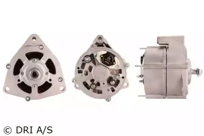 dri-500103554