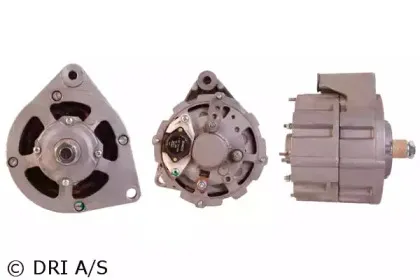 dri-500106354