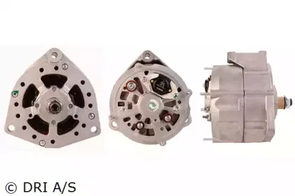 dri-525101804