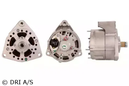 dri-525124304
