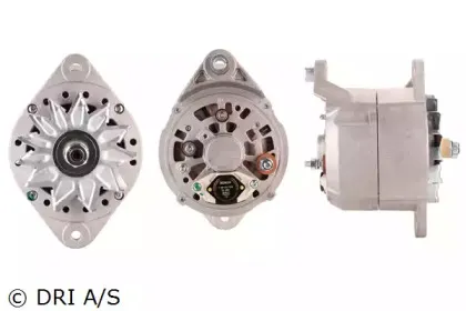 dri-538103804