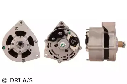 dri-200114354