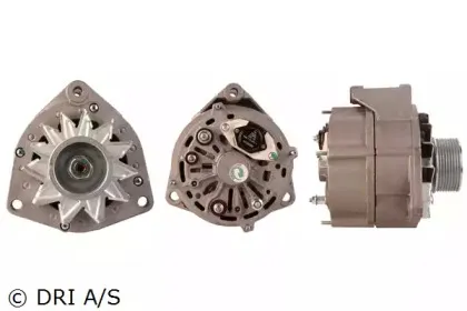dri-525110804