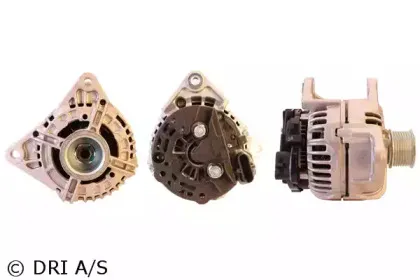 dri-500159804