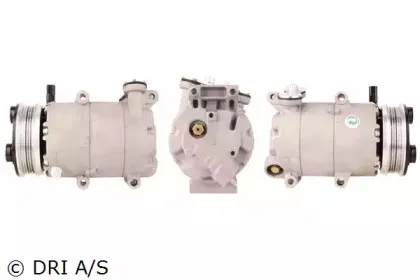 dri-700510243
