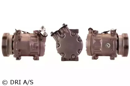 dri-700510313