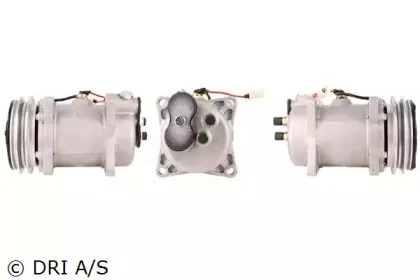 dri-700510337