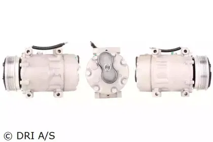 dri-700510345