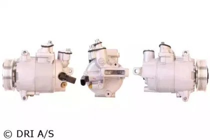 dri-700510396