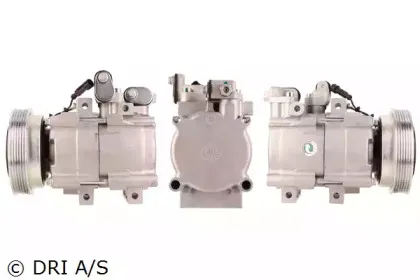 dri-700510403