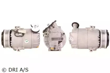 dri-700510418