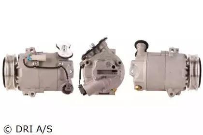 dri-700510423