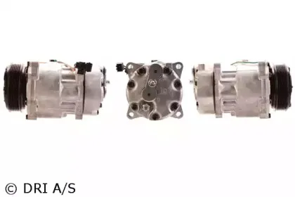 dri-700510604