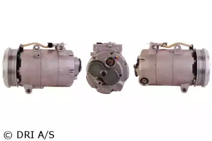 dri-700510693