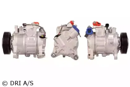 dri-700510758
